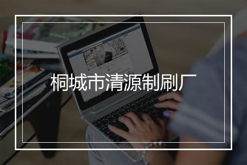桐城市清源制刷厂