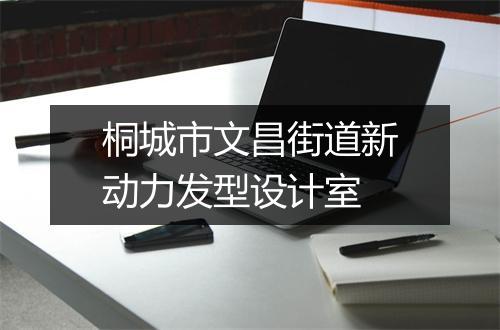 桐城市文昌街道新动力发型设计室