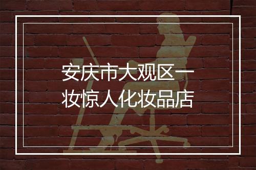 安庆市大观区一妆惊人化妆品店