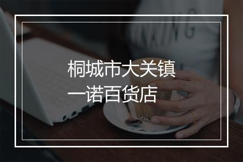 桐城市大关镇一诺百货店