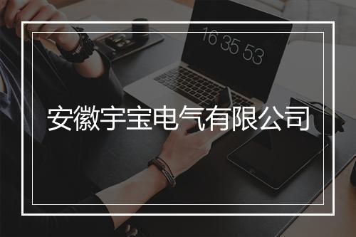 安徽宇宝电气有限公司