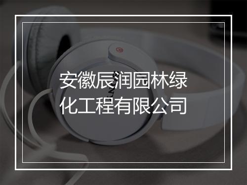 安徽辰润园林绿化工程有限公司