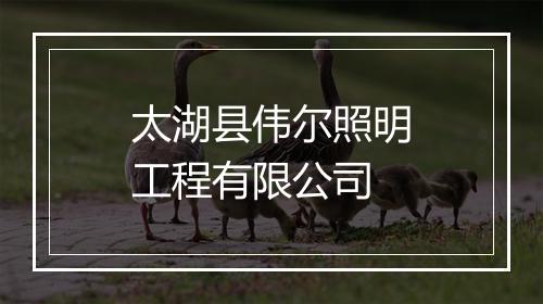太湖县伟尔照明工程有限公司