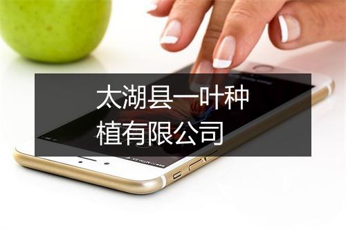 太湖县一叶种植有限公司