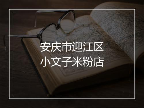 安庆市迎江区小文子米粉店