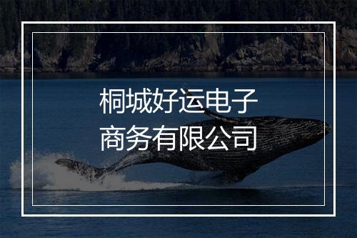 桐城好运电子商务有限公司