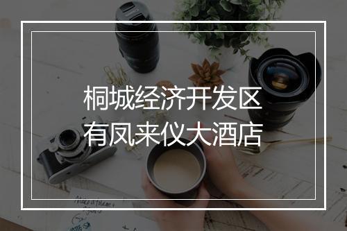 桐城经济开发区有凤来仪大酒店