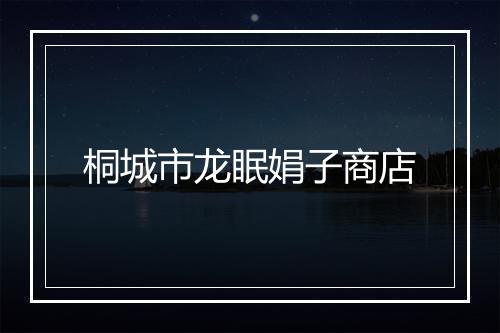桐城市龙眠娟子商店