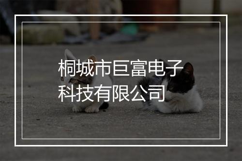 桐城市巨富电子科技有限公司