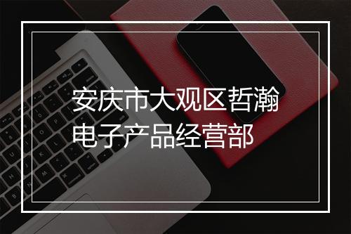 安庆市大观区哲瀚电子产品经营部