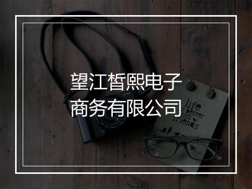 望江皙熙电子商务有限公司