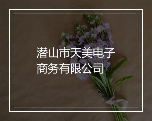 潜山市天美电子商务有限公司