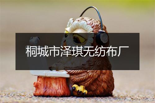 桐城市泽琪无纺布厂
