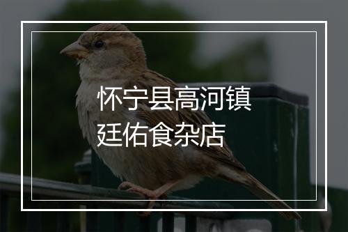 怀宁县高河镇廷佑食杂店