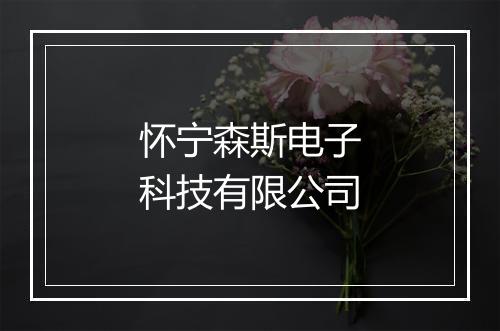 怀宁森斯电子科技有限公司