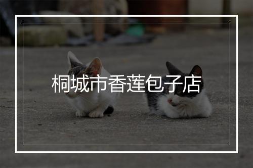 桐城市香莲包子店