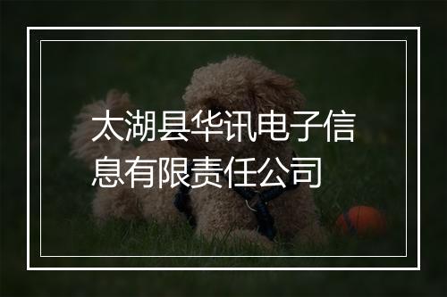 太湖县华讯电子信息有限责任公司