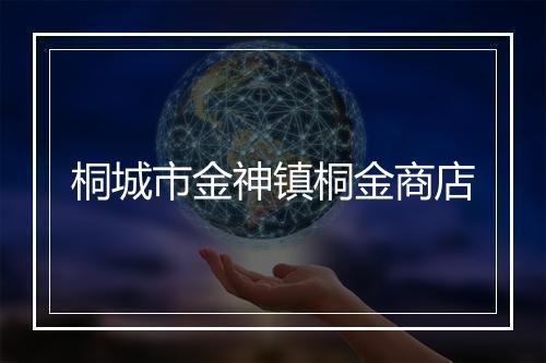 桐城市金神镇桐金商店