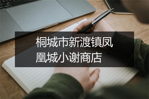 桐城市新渡镇凤凰城小谢商店