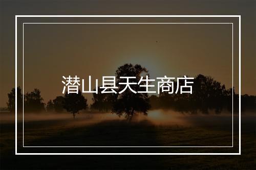 潜山县天生商店