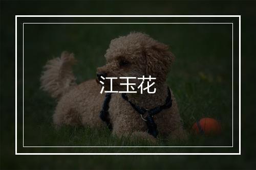 江玉花