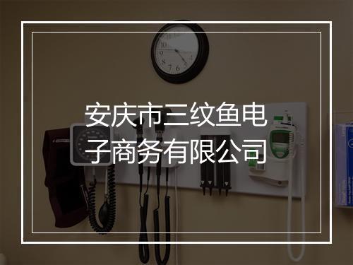 安庆市三纹鱼电子商务有限公司