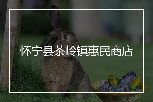 怀宁县茶岭镇惠民商店