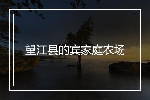 望江县的宾家庭农场