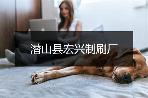 潜山县宏兴制刷厂