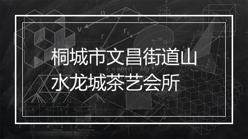 桐城市文昌街道山水龙城茶艺会所