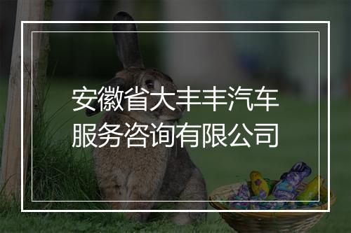 安徽省大丰丰汽车服务咨询有限公司