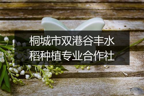 桐城市双港谷丰水稻种植专业合作社