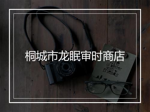 桐城市龙眠审时商店