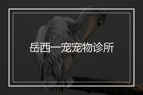 岳西一宠宠物诊所
