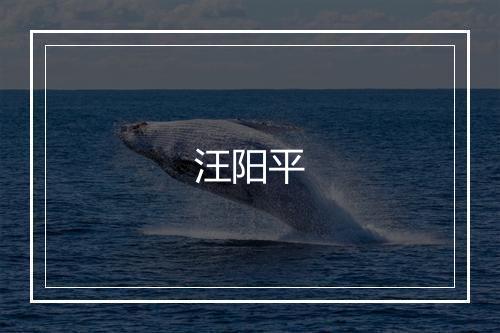 汪阳平
