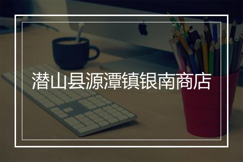 潜山县源潭镇银南商店