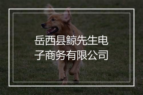 岳西县鲸先生电子商务有限公司
