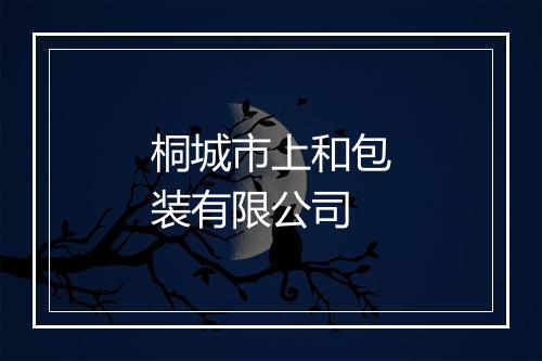桐城市上和包装有限公司