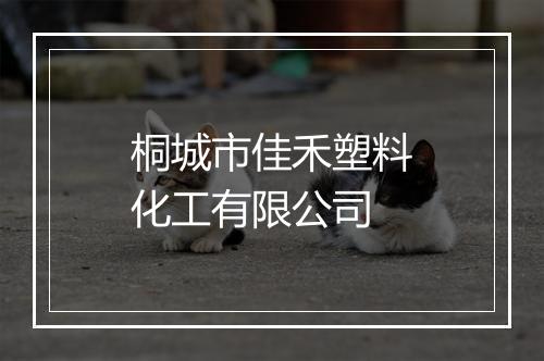 桐城市佳禾塑料化工有限公司
