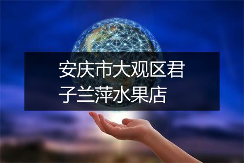 安庆市大观区君子兰萍水果店