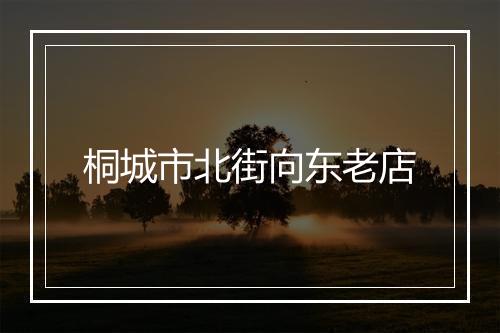 桐城市北街向东老店