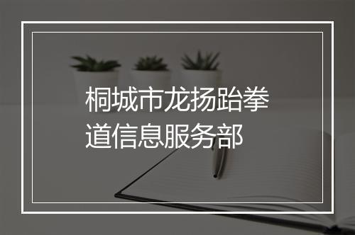 桐城市龙扬跆拳道信息服务部