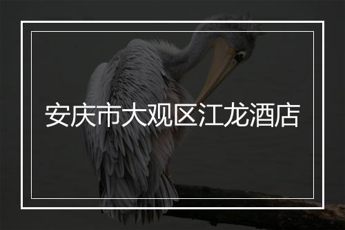 安庆市大观区江龙酒店