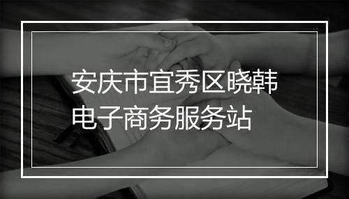安庆市宜秀区晓韩电子商务服务站