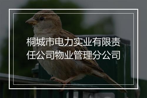 桐城市电力实业有限责任公司物业管理分公司