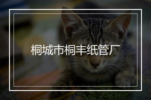 桐城市桐丰纸管厂