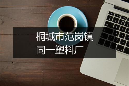 桐城市范岗镇同一塑料厂
