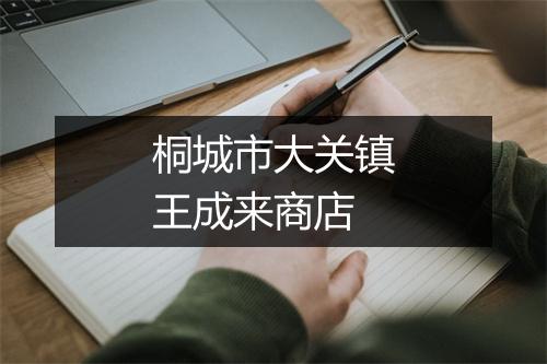 桐城市大关镇王成来商店
