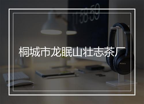 桐城市龙眠山壮志茶厂