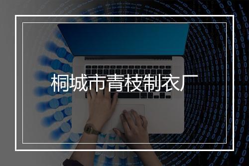 桐城市青枝制衣厂